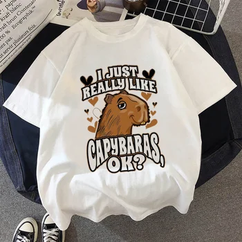 Мъжки японски дрехи Capybaras 2022, забавна ежедневна тениска с графичен дизайн, реколта естетика